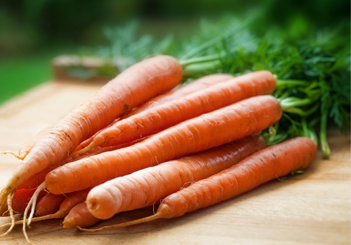 carottes%201200x840px